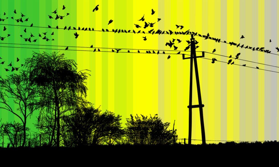 Uk farmland birds with landscape v2 CROP