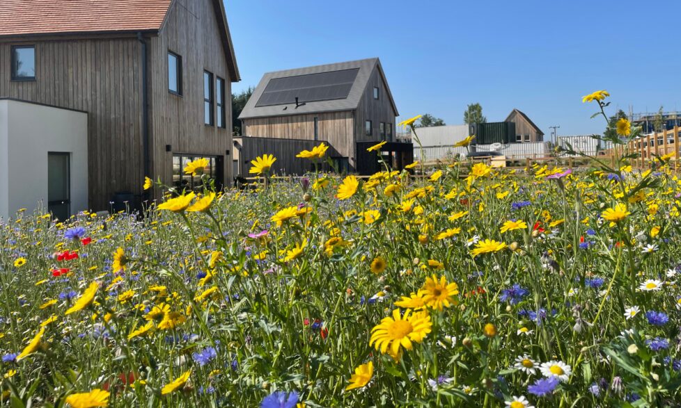 Springfield Meadows for OPL banner