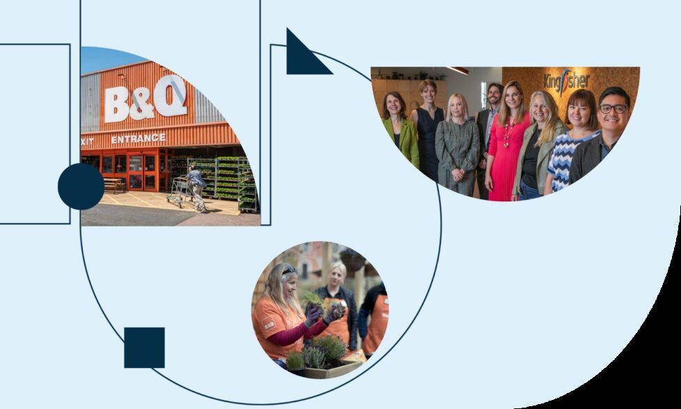 Kingfisher blog post