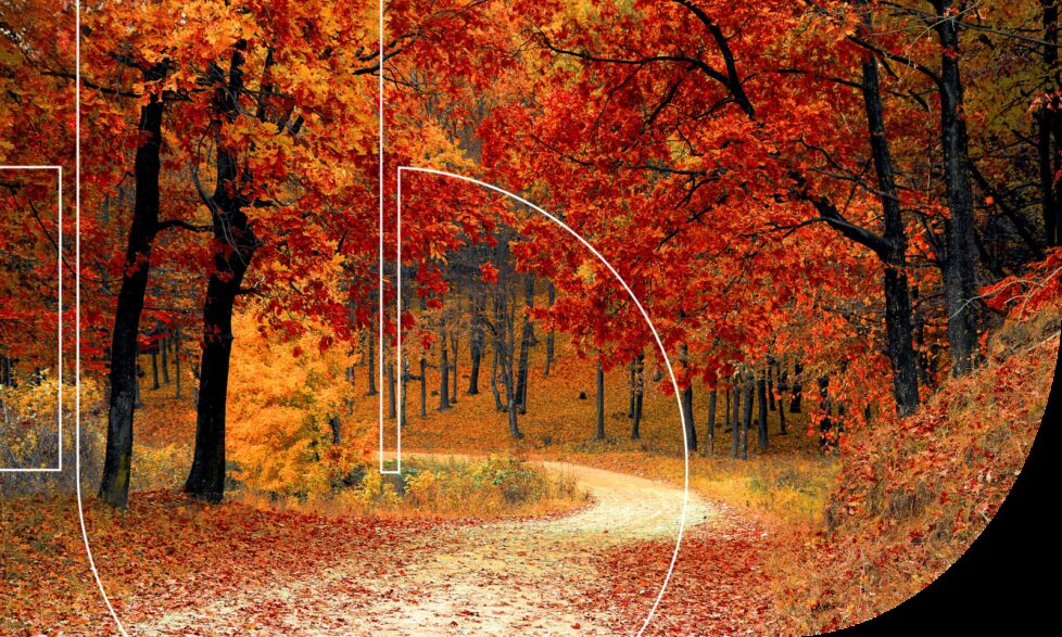 Eco Vadis blog how to improve ecovadis score