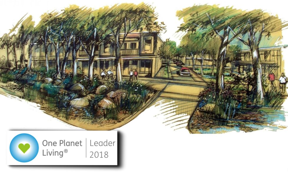 SALT Torquay Global leader web banner templates