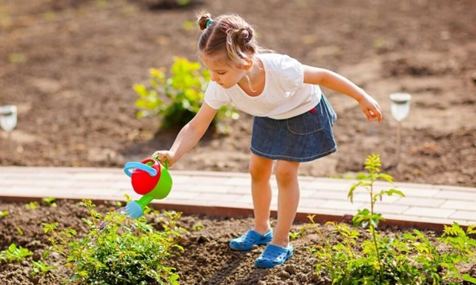 Https   Cdn Evbuc Com Images 104919258 175390000635 1 Original