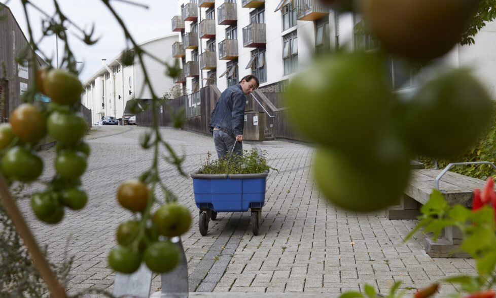 Brighton and Hove Council One Planet Annual Review