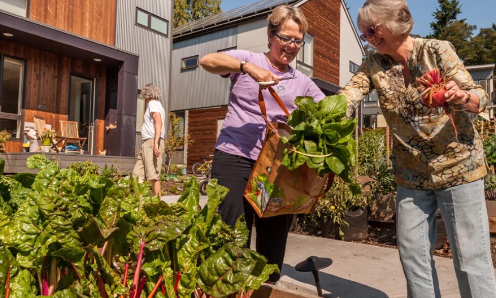 Grow Village Gardenharvest © Grow Community