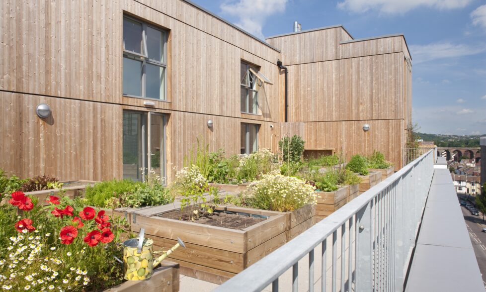 One Brighton One Planet Action Plan