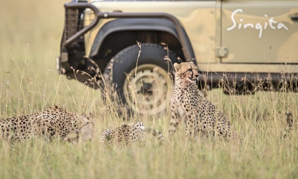 Singita Serengeti Game Drive
