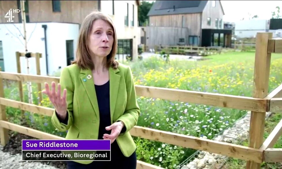 Sue Riddlestone Channel 4 web banner