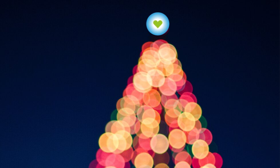 Website Christmassy Problems 190117