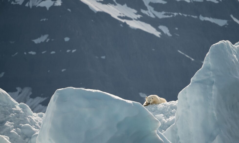 Annie Spratt 1283222 Unsplash