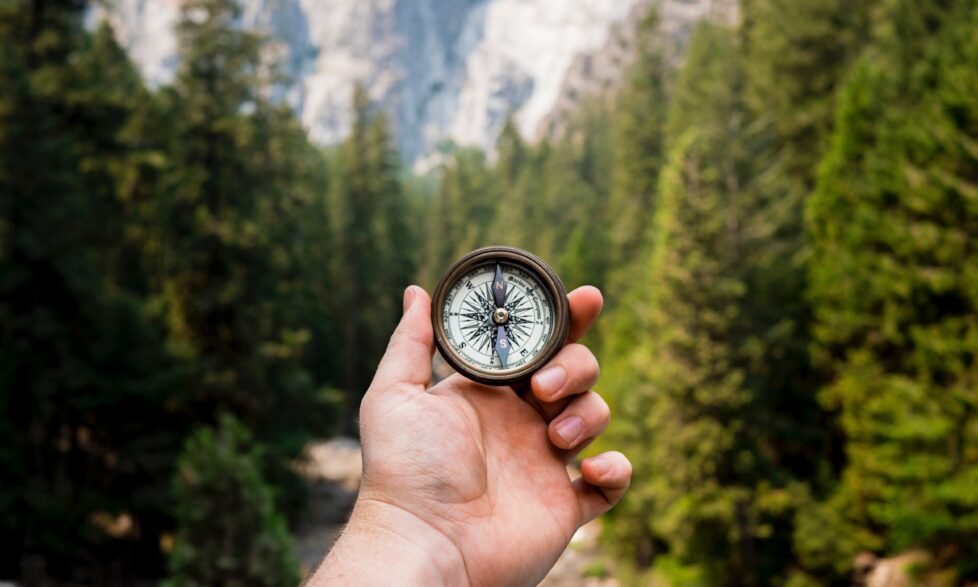 create sustainability strategy