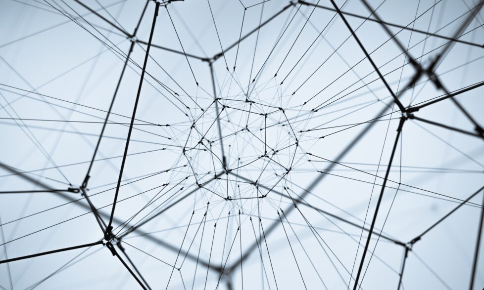 interconnections between the Sustainable Development Goals_credit: William Bout