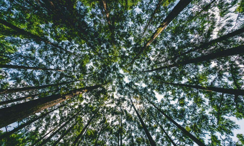 setting sustainability targets