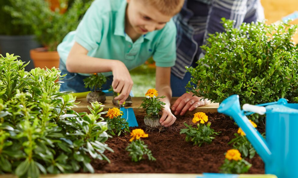 Sustainable Products And Services Easygrow Credit B Q