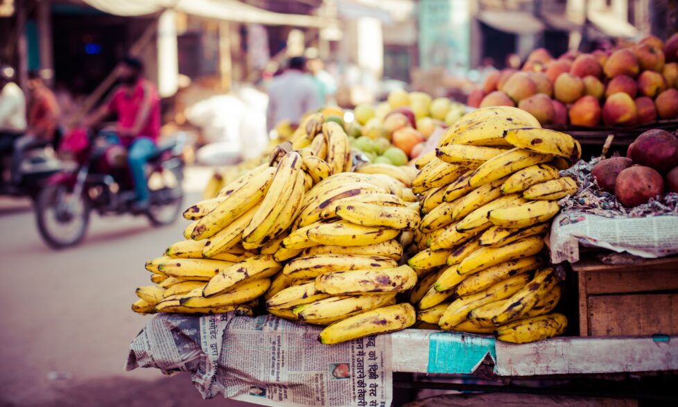 zero food waste to landfill